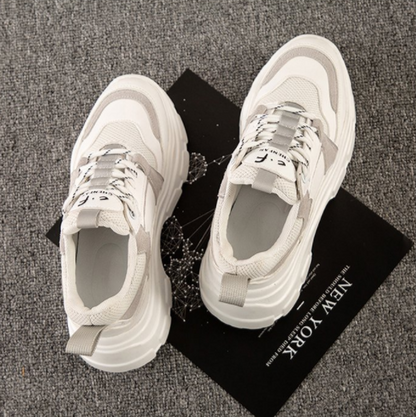 Casual Shoe