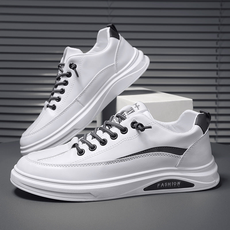 Men sneakers